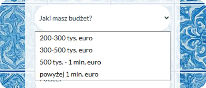 Progi budżetowe w formularzu kontaktowym